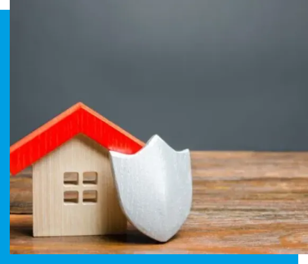 Organized Mold & Water Damage Restoration​