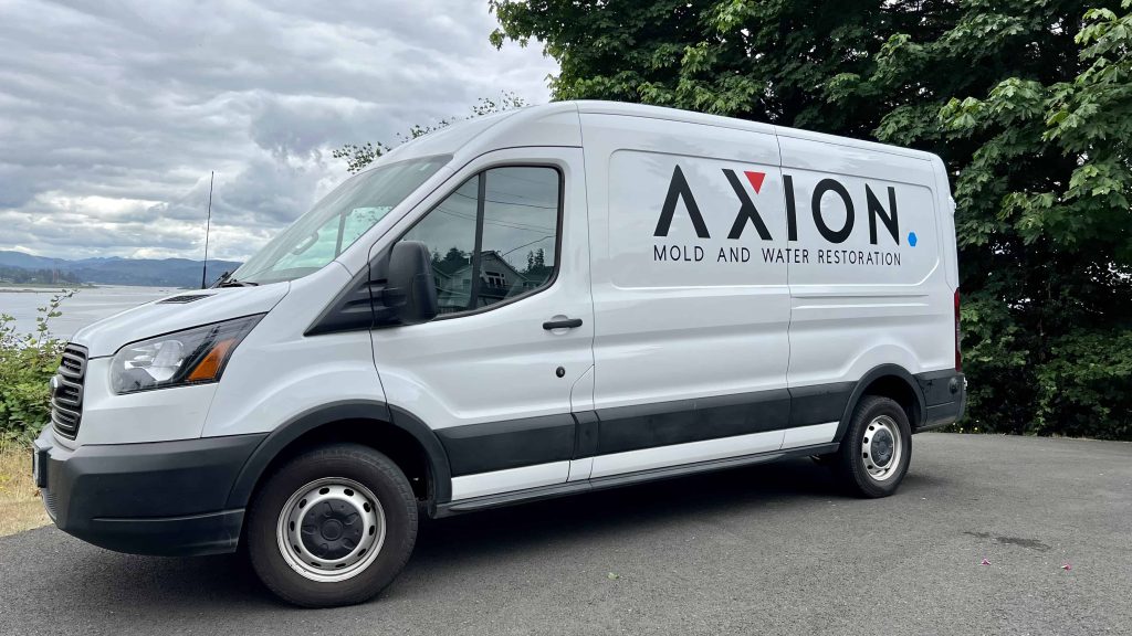 Accurate & Professional Water Damage Restoration​