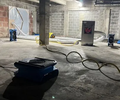 Mold and water damage restoration experience & expertise