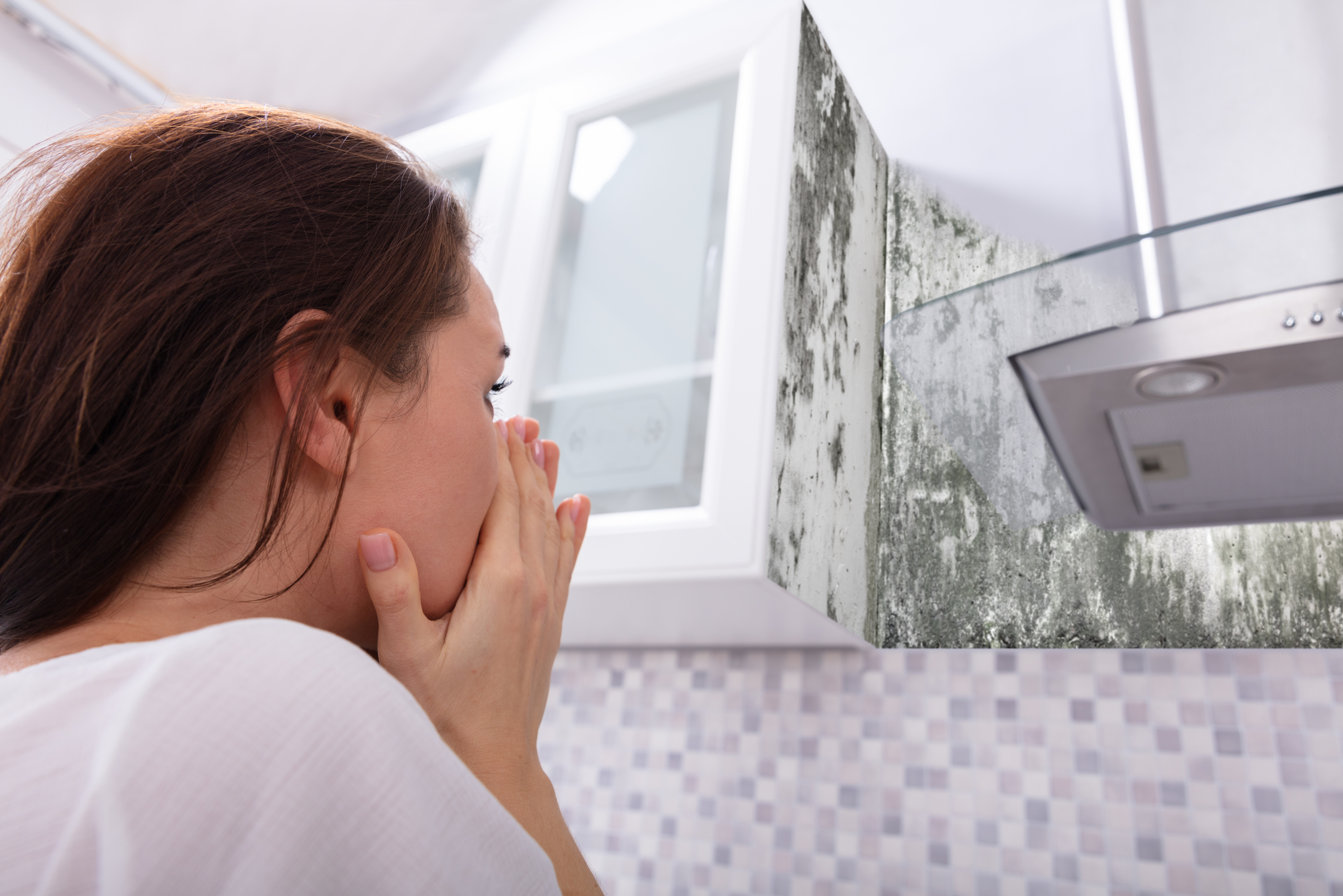 Mold Inspections & Testing In Oregon